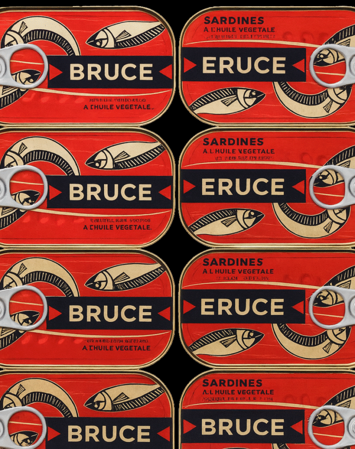 sardine présentation v2