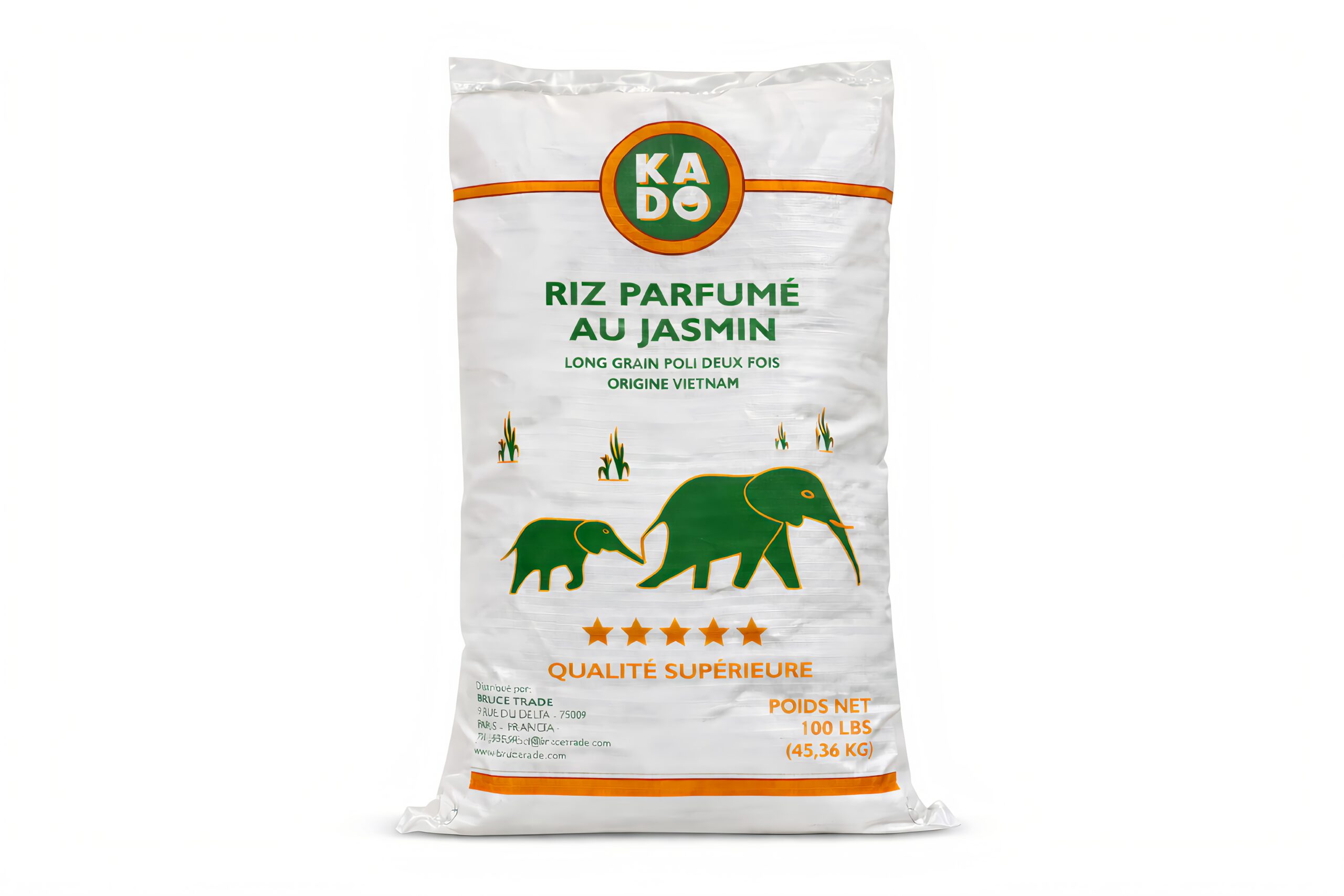 RIZ - PHOTO 5